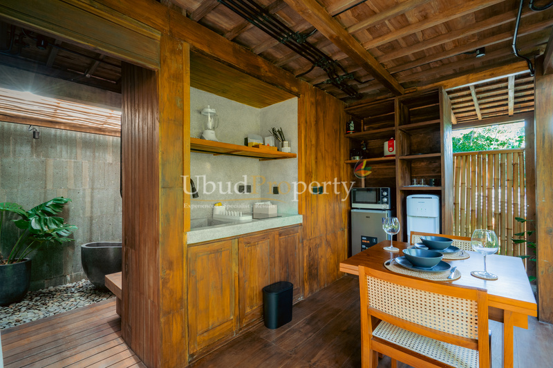 Ubud Property Villa For Sale in Ubud Bali