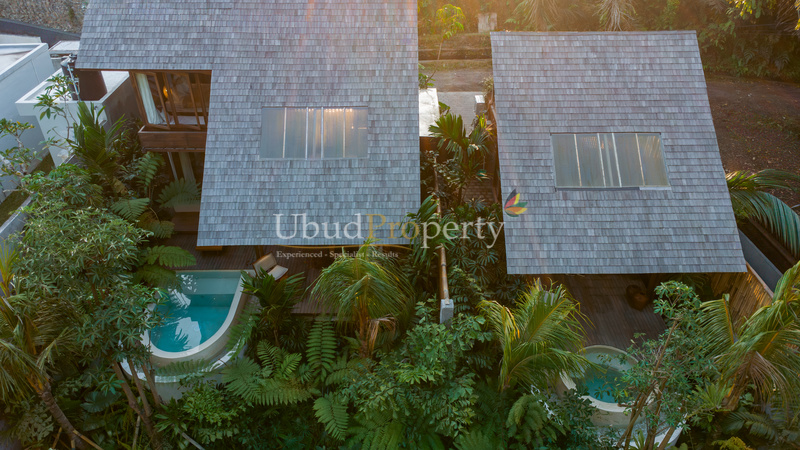 Ubud Property Villa For Sale in Ubud Bali