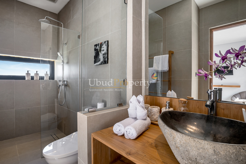 Ubud Property Villa For Sale in Ubud Bali