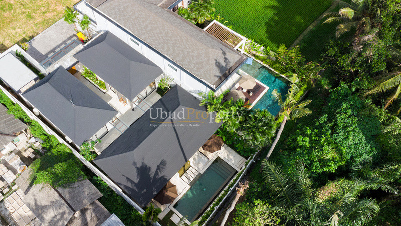 Ubud Property Villa For Sale in Ubud Bali