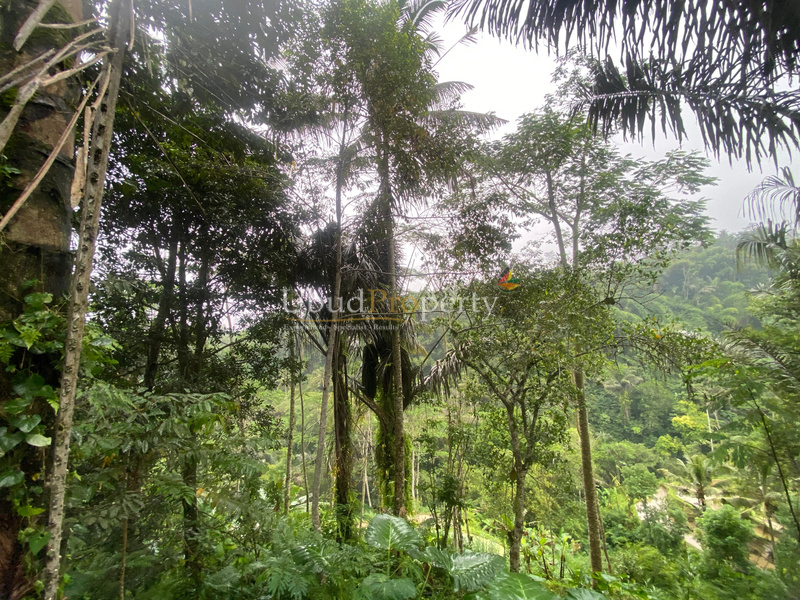 Ubud Property Land For Lease in Ubud Bali