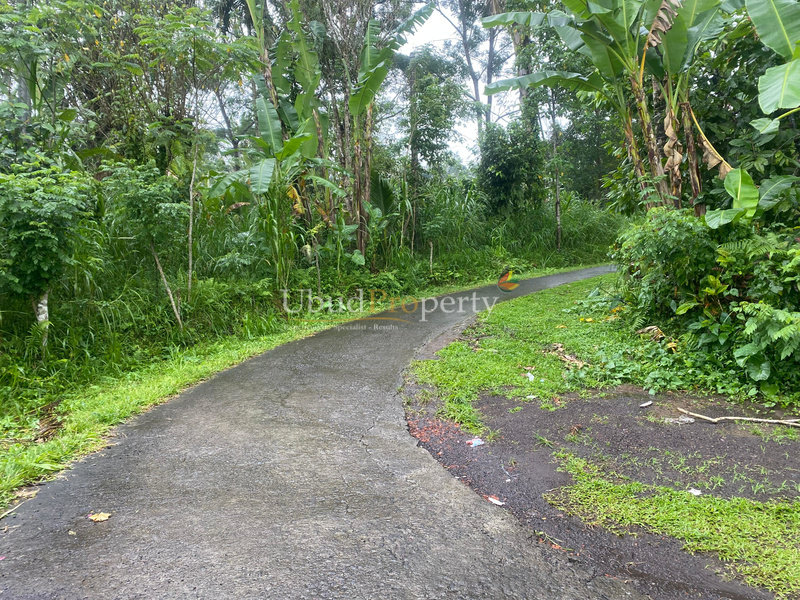 Ubud Property Land For Lease in Ubud Bali