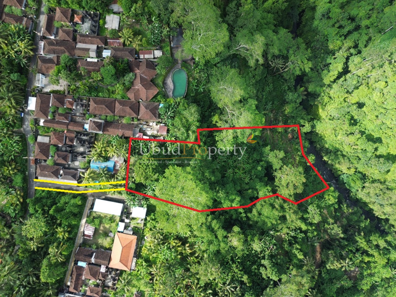 Land For Sale Leasehold in Ubud Bali