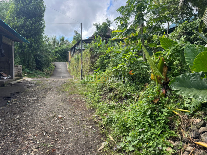 Ubud Property Land For Lease in Ubud Bali