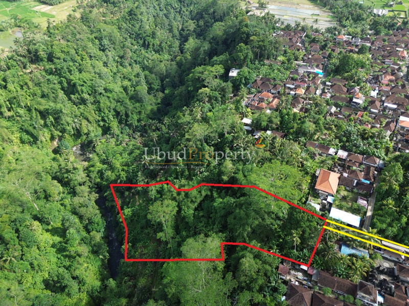 Ubud Property Land For Lease in Ubud Bali