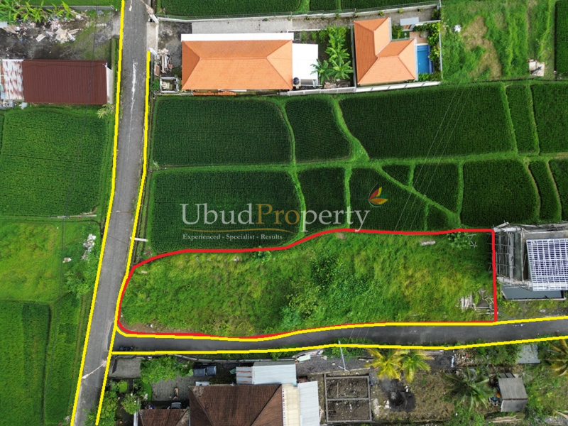 Land For Sale Freehold in Ubud Bali