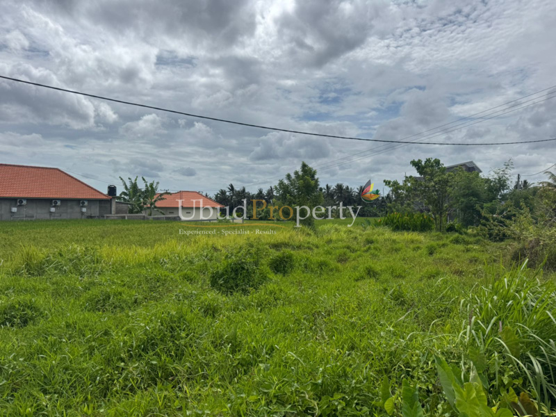 Ubud Property Land For Sale in Ubud Bali