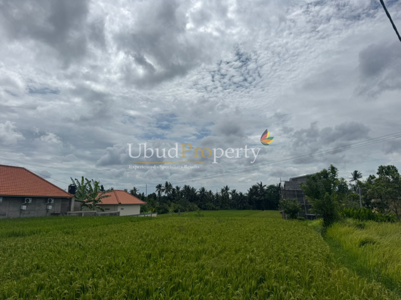 Ubud Property Land For Sale in Ubud Bali