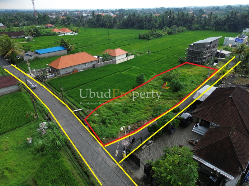 Ubud Property Land For Sale in Ubud Bali
