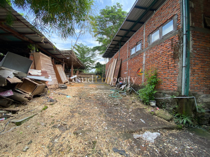 Ubud Property Land For Sale in Ubud Bali