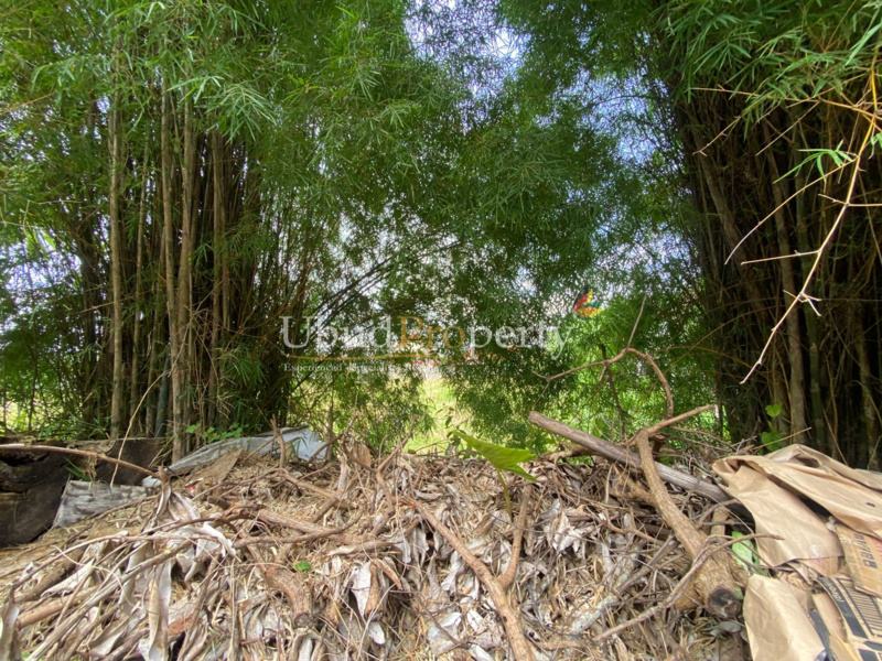 Ubud Property Land For Sale in Ubud Bali