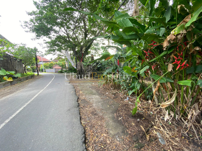 Ubud Property Land For Sale in Ubud Bali