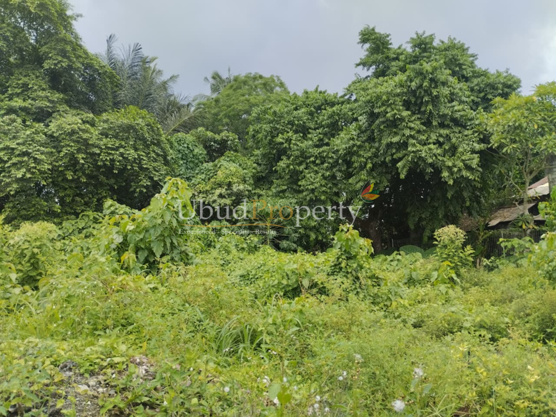 Ubud Property Land For Sale in Ubud Bali