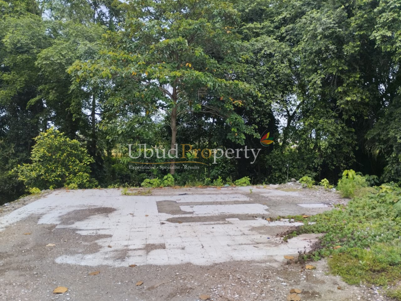 Ubud Property Land For Sale in Ubud Bali