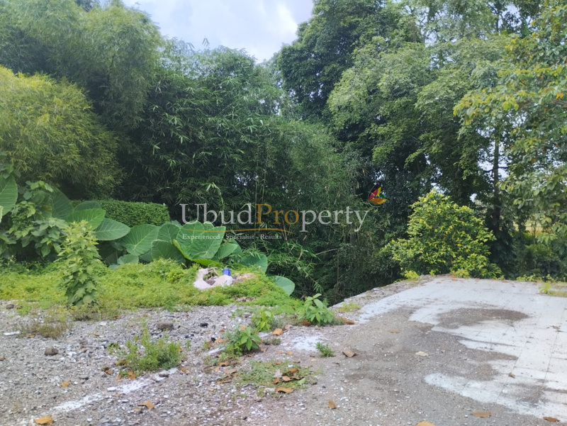 Ubud Property Land For Sale in Ubud Bali