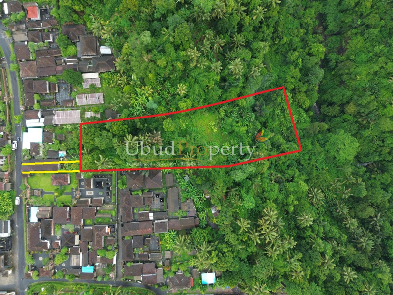 Land For Sale Leasehold in Ubud Bali