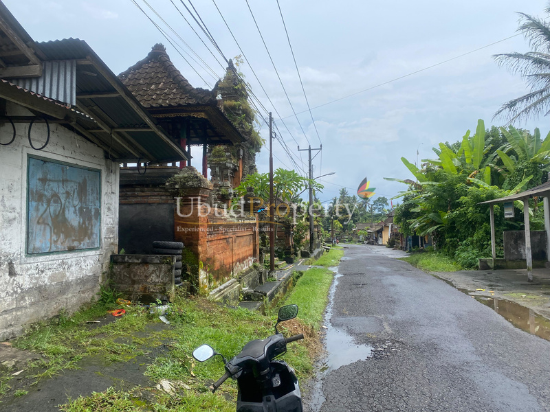 Ubud Property Land For Sale in Ubud Bali