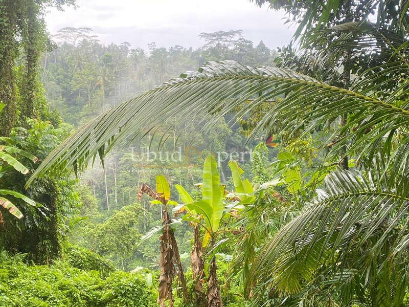 Ubud Property Land For Sale in Ubud Bali