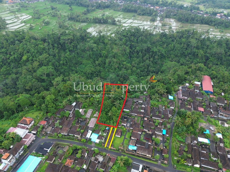 Ubud Property Land For Sale in Ubud Bali