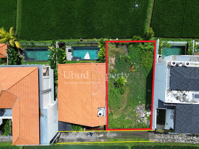 Land For Sale Leasehold in Ubud Bali