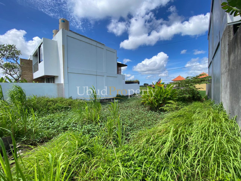 Ubud Property Land For Sale in Ubud Bali