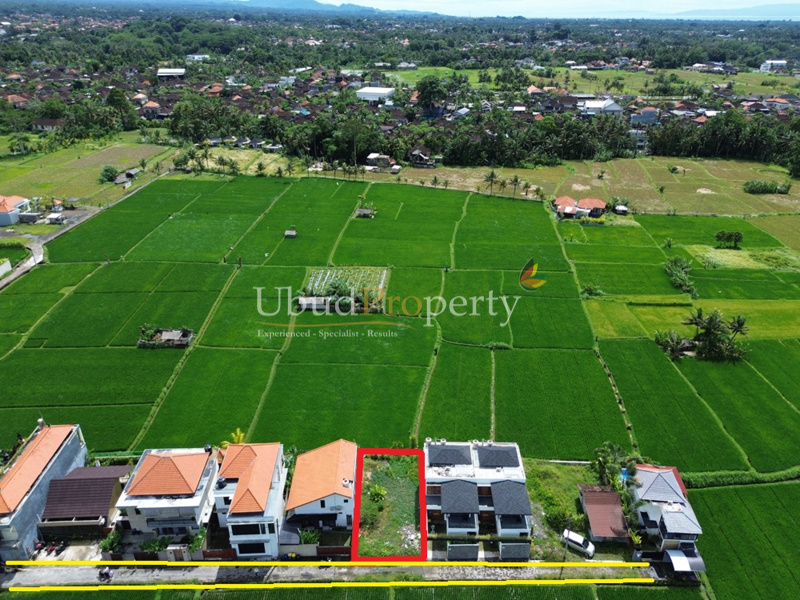 Ubud Property Land For Sale in Ubud Bali