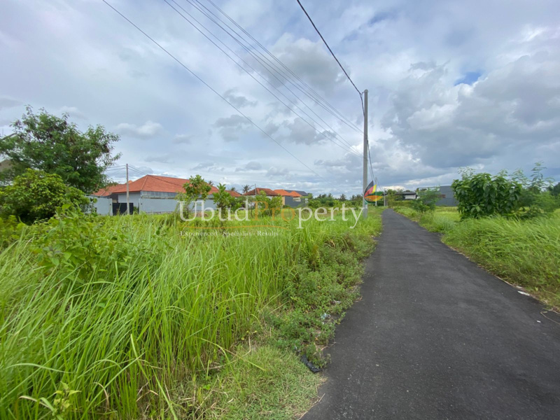 Ubud Property Land For Sale in Ubud Bali