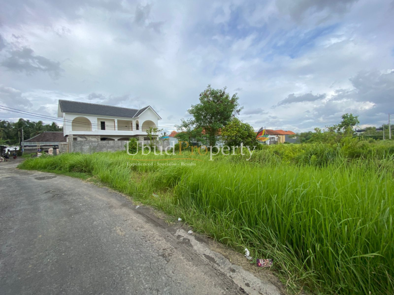 Ubud Property Land For Sale in Ubud Bali