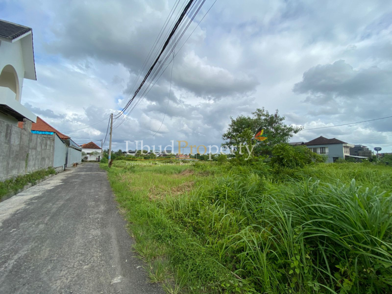 Ubud Property Land For Sale in Ubud Bali