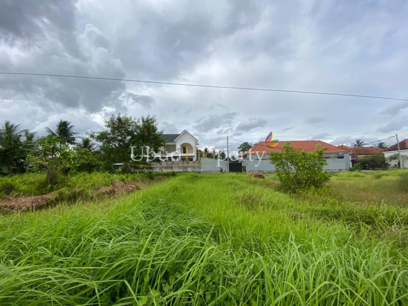 Ubud Property Land For Sale in Ubud Bali