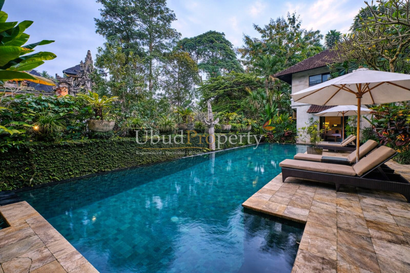Ubud Property Villa For Sale in Ubud Bali
