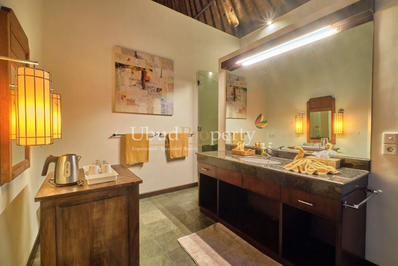 Ubud Property Villa For Sale in Ubud Bali