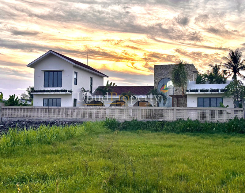 Ubud Property Villa For Sale in Ubud Bali