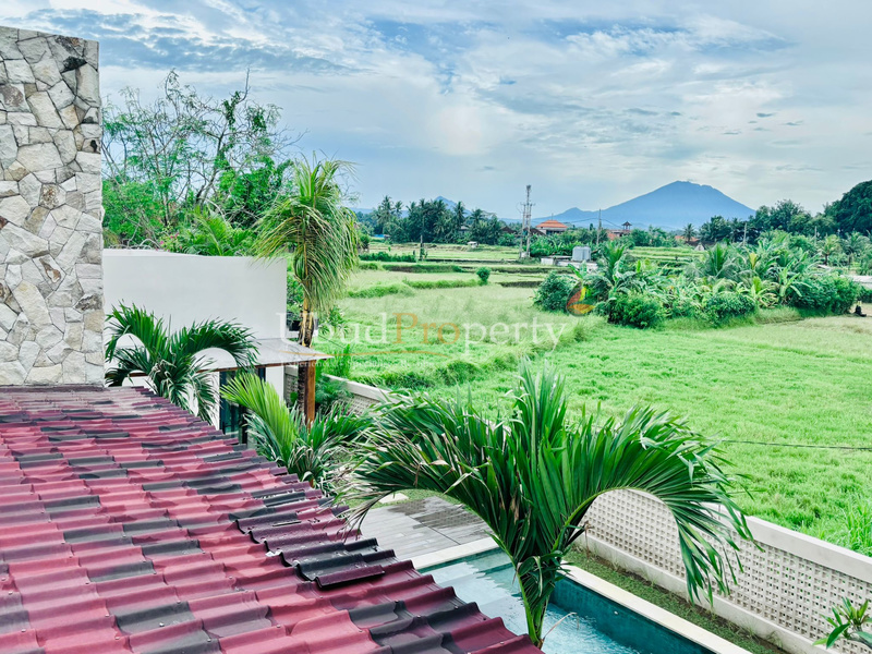 Ubud Property Villa For Sale in Ubud Bali