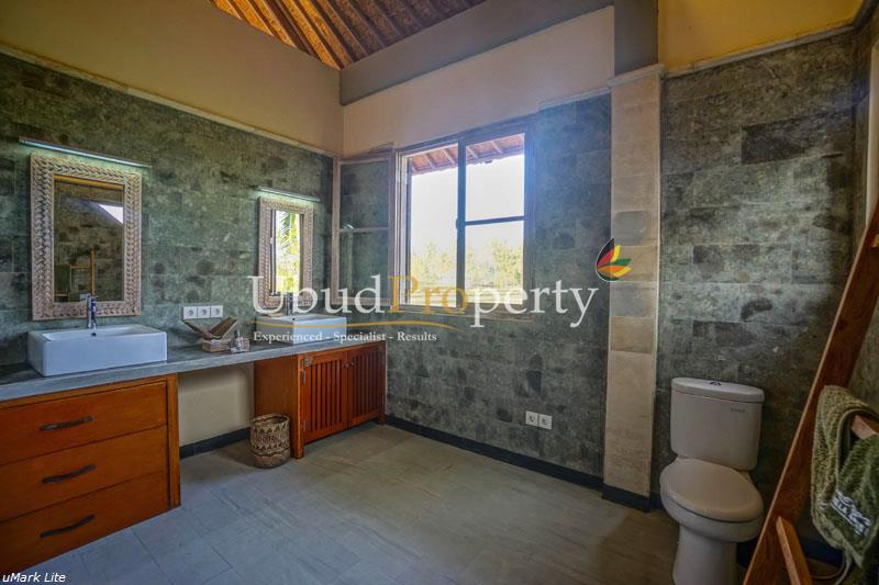 Ubud Property Villa For Sale in Ubud Bali