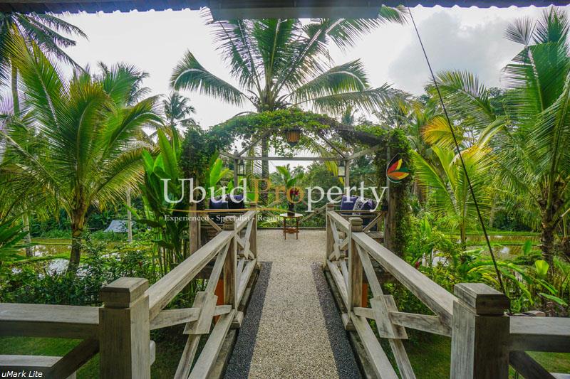 Ubud Property Villa For Sale in Ubud Bali