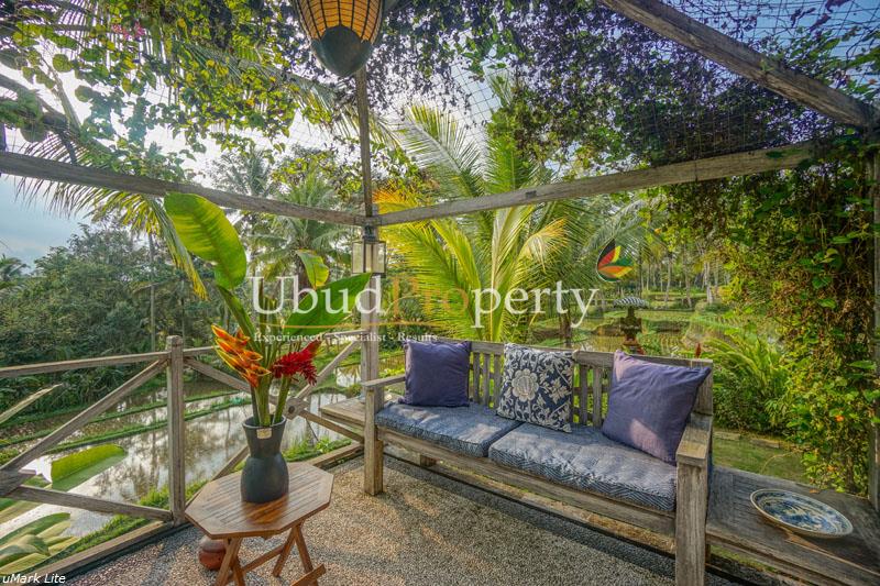 Ubud Property Villa For Sale in Ubud Bali