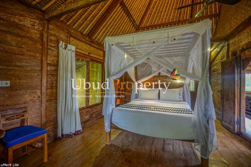 Ubud Property Villa For Sale in Ubud Bali
