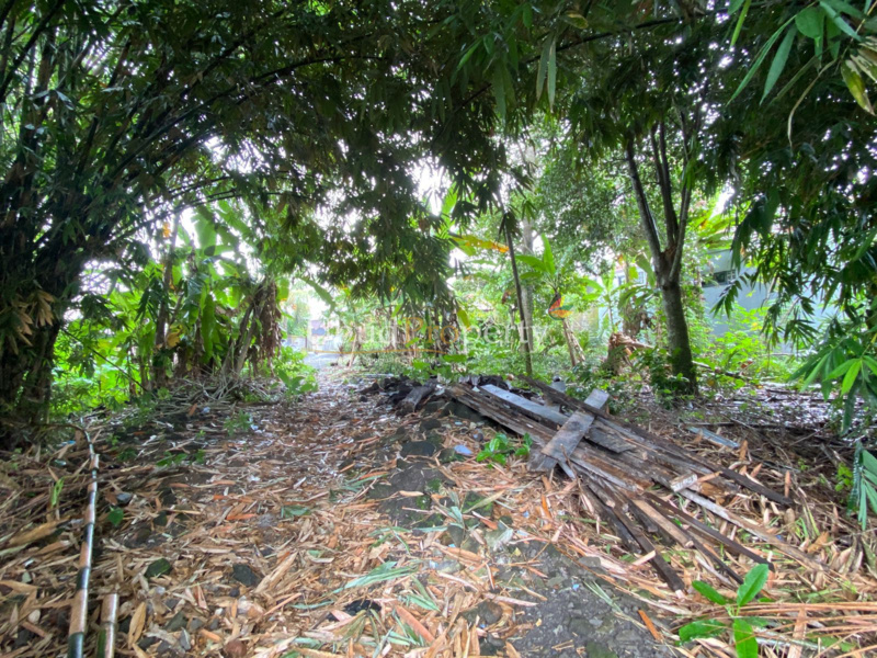 Land For Sale Freehold in Ubud Bali