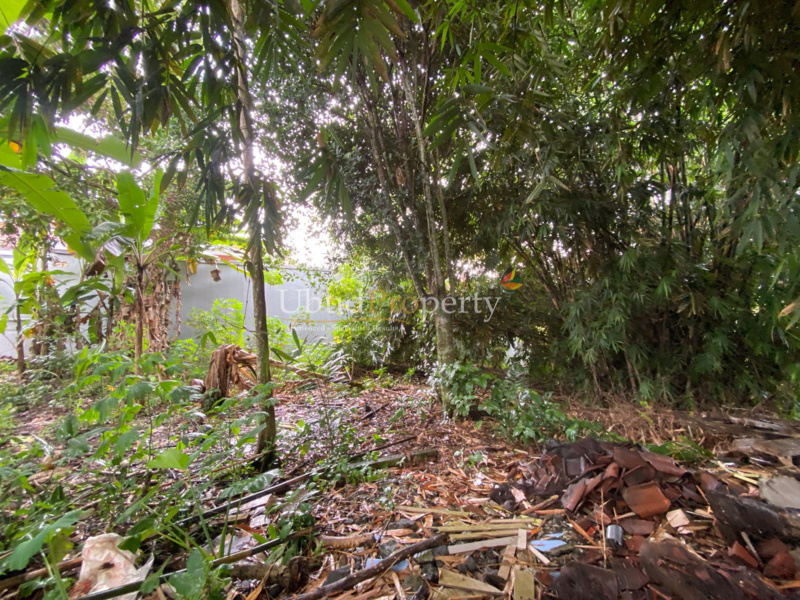 Ubud Property Land For Sale in Ubud Bali