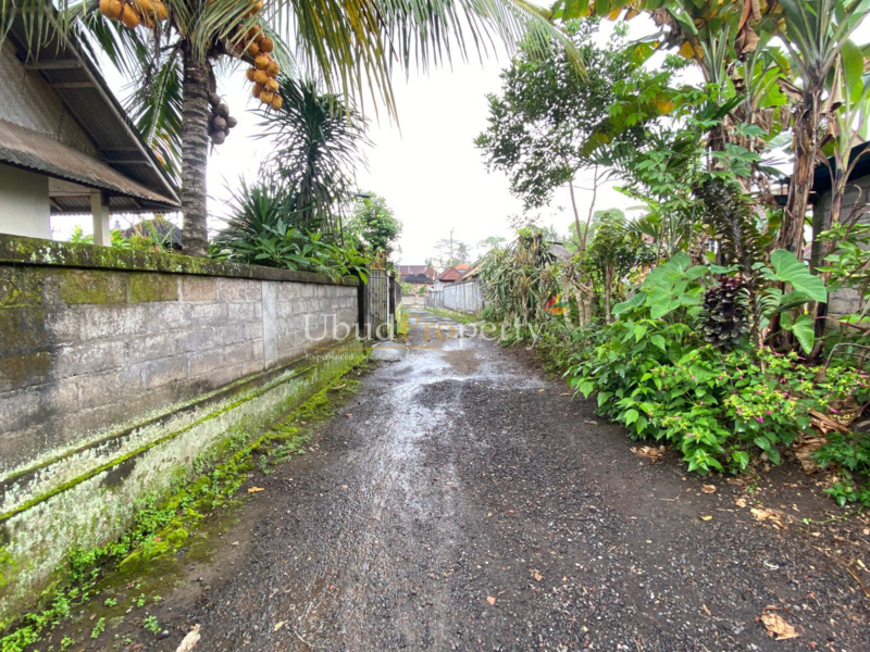 Ubud Property Land For Sale in Ubud Bali