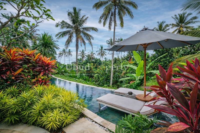 Garden - Ubud Property Villa For Sale in Ubud Bali
