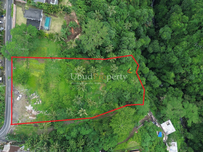 Land For Sale Leasehold in Ubud Bali