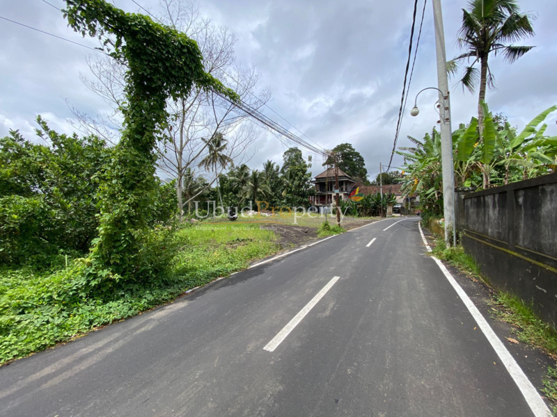 Ubud Property Land For Lease in Ubud Bali