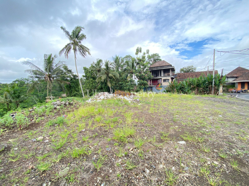 Ubud Property Land For Lease in Ubud Bali