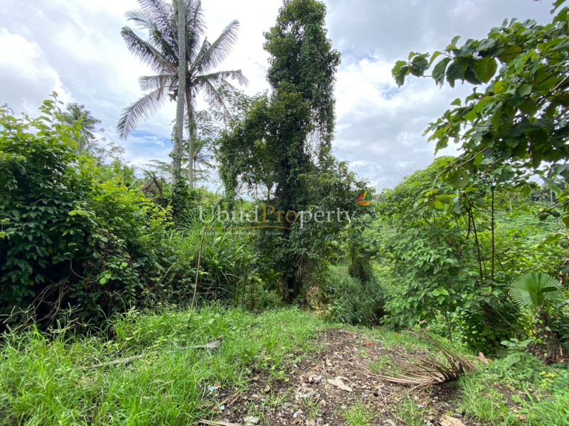 Ubud Property Land For Lease in Ubud Bali