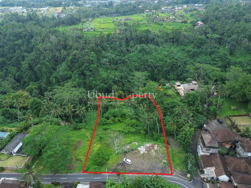 Ubud Property Land For Lease in Ubud Bali
