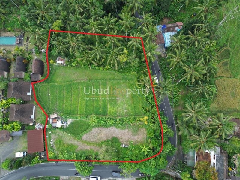 Land For Sale Freehold in Ubud Bali