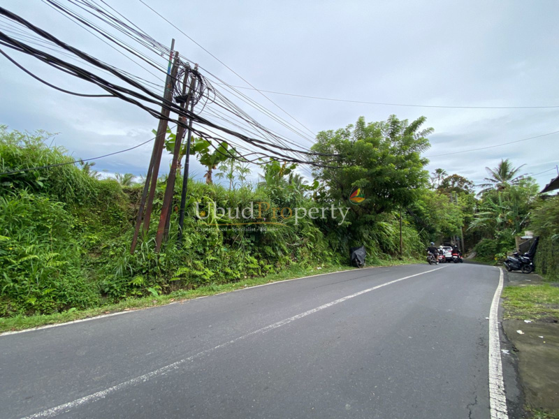 Ubud Property Land For Sale in Ubud Bali