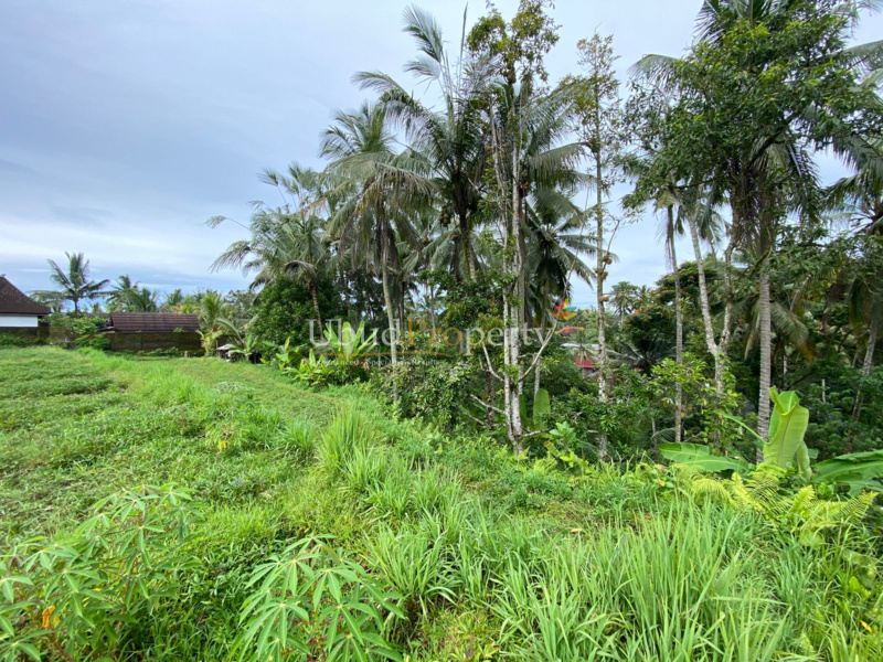 Ubud Property Land For Sale in Ubud Bali